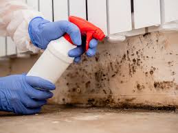 Best Air Quality Testing for Mold Spores  in Newark, TX